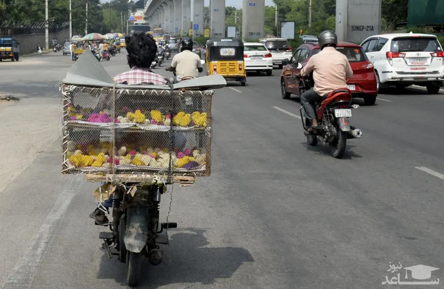 حمل جوجه های رنگ شده برای فروش در بازار شهر حیدرآباد هند/ خبرگزاری فرانسه