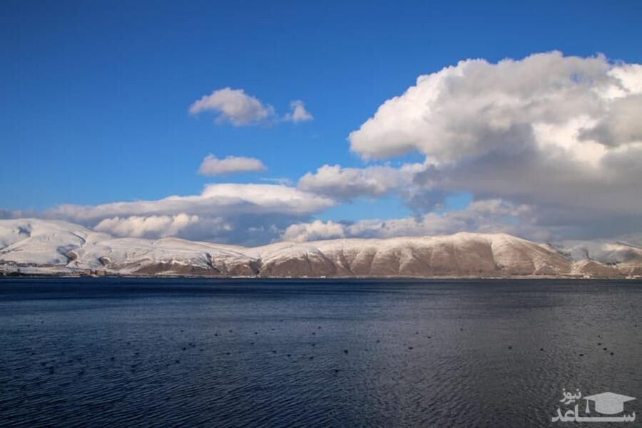 دریاچه سوان