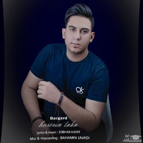 دانلود آهنگ طبا برگرد از حسین طبا