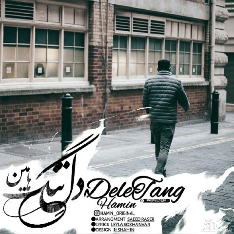 دانلود آهنگ دل تنگ از هامین