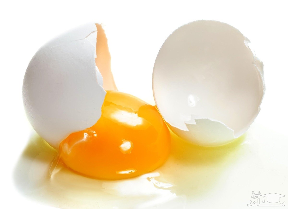 هر آنچه که باید راجب زرده تخم مرغ بدونید+فواید و مضرات