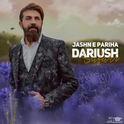 دانلود آهنگ جشن پری ها از داریوش صفری