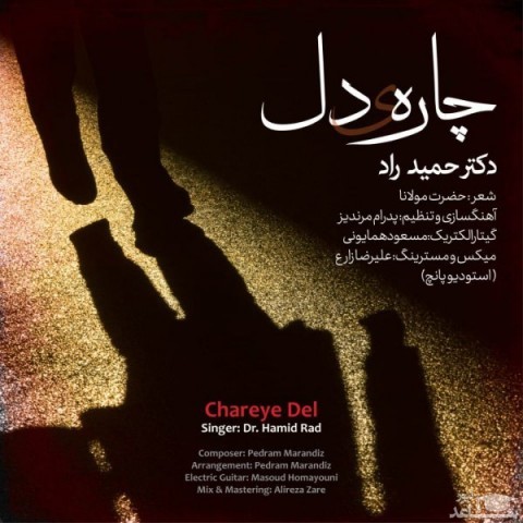دانلود آهنگ چاره ی دل از دکتر حمید راد