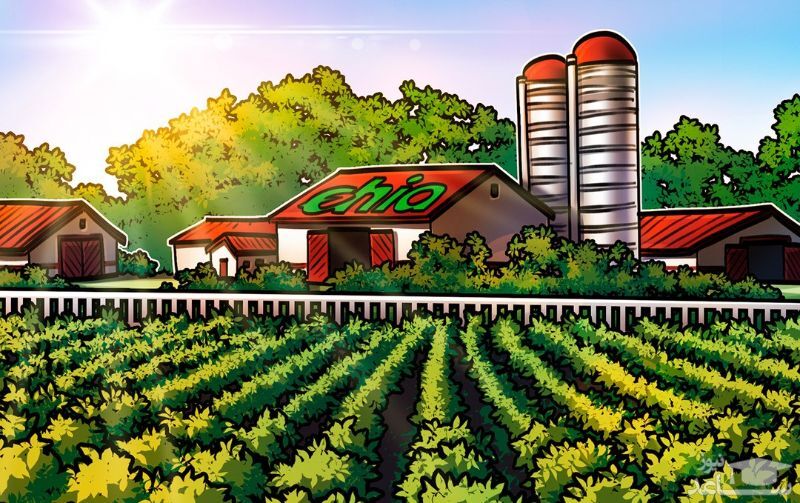 ارز دیجیتال چیا نتورک