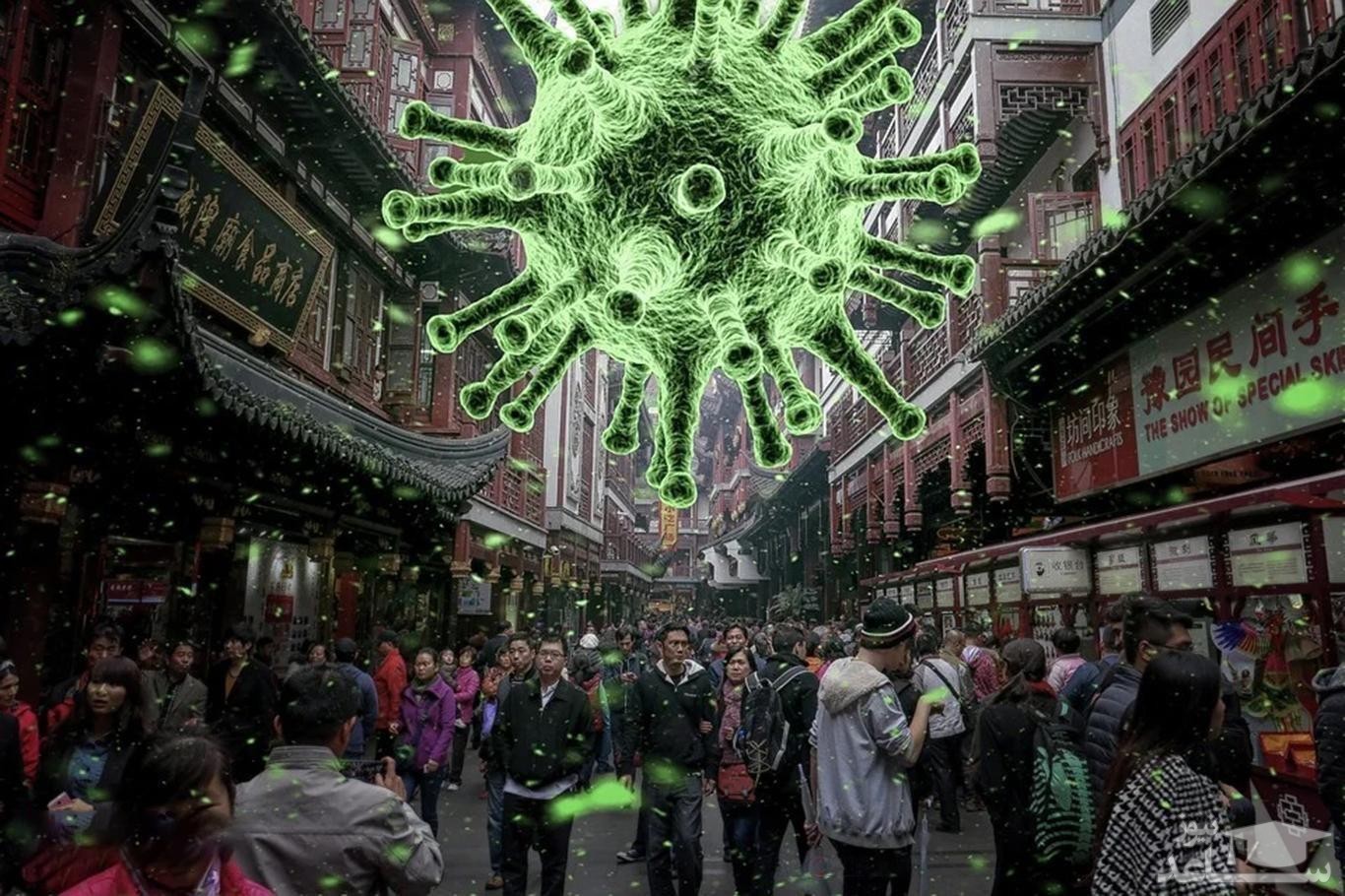 آمار مبتلایان کرونا از ۳۳ میلیون نفر گذشت