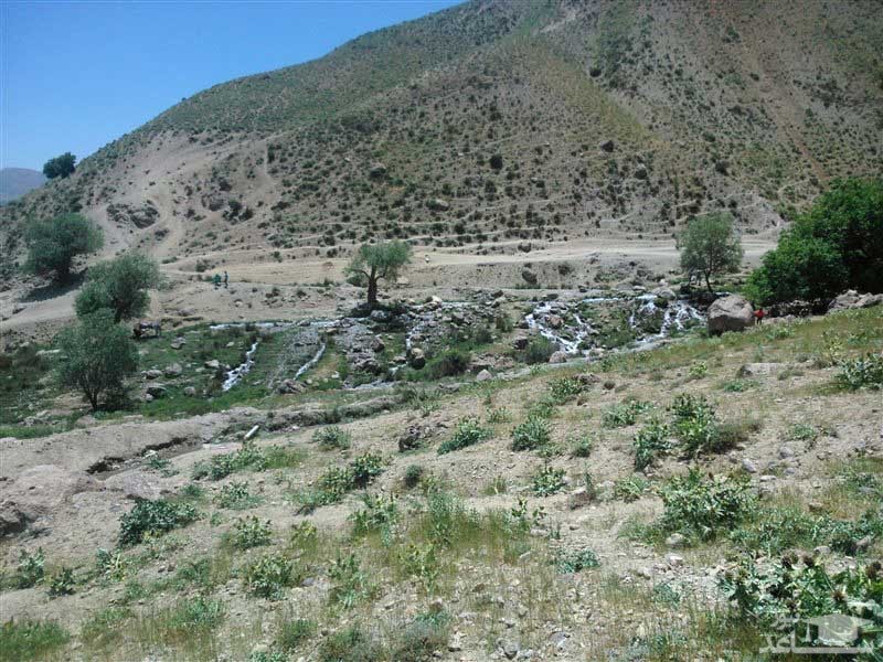 تصویر