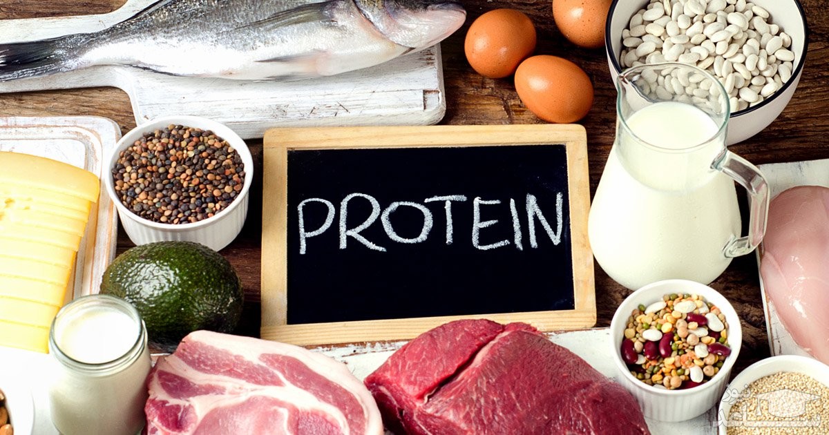 علامت کمبود پروتئین در بدن و منابع تامین آن