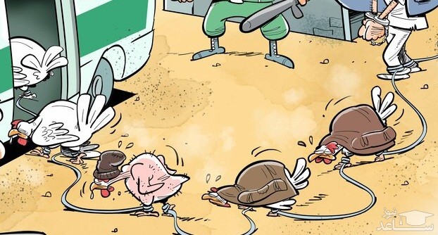 مرغ‌های معتاد دستگیر شدند