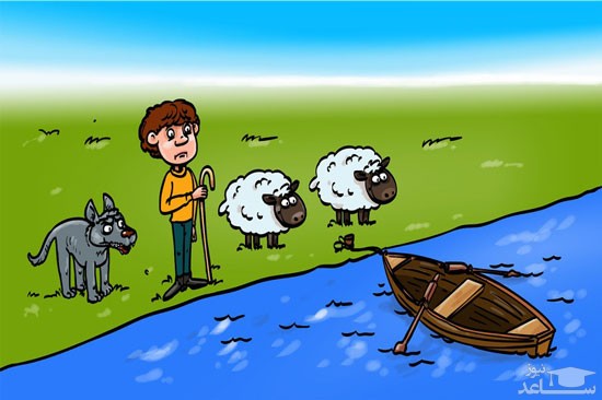 معمای دریا و گوسفندها