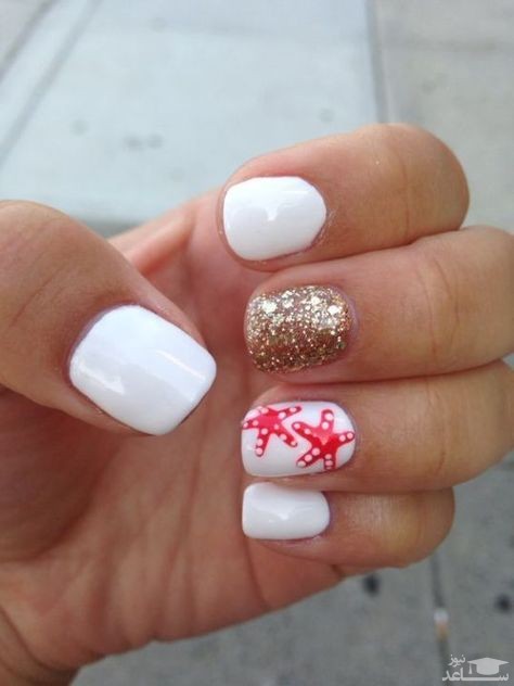 لاک تم دریا