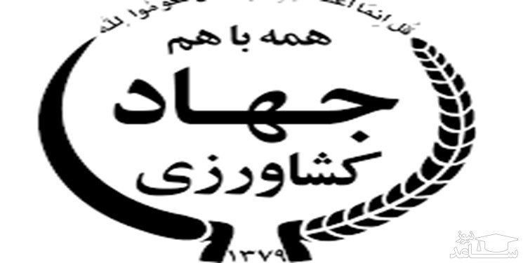 محورهای اعتراض کارکنان جهاد کشاورزی به عدم اجرای همسان سازی حقوق