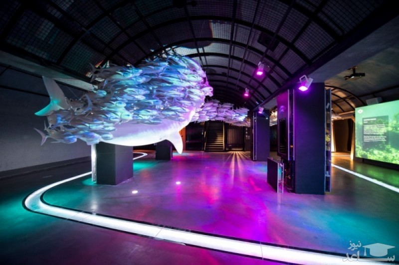 هیدروپولیس | The Hydropolis