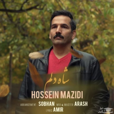 دانلود آهنگ شاه دلم از حسین مزیدی