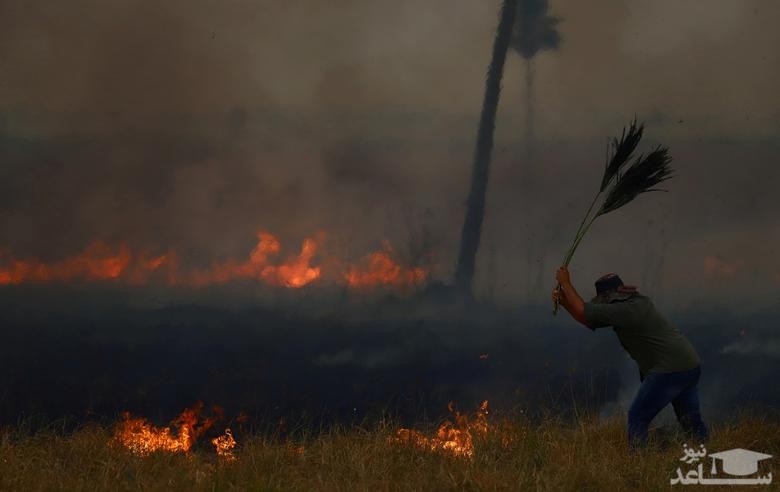 تلاش برای خاموش کردن آتش سوزی جنگلی و مراتع در آرژانتین/ رویترز و آسوشیتدپرس