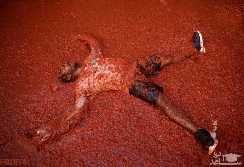 جشنواره جنگ با گوجه