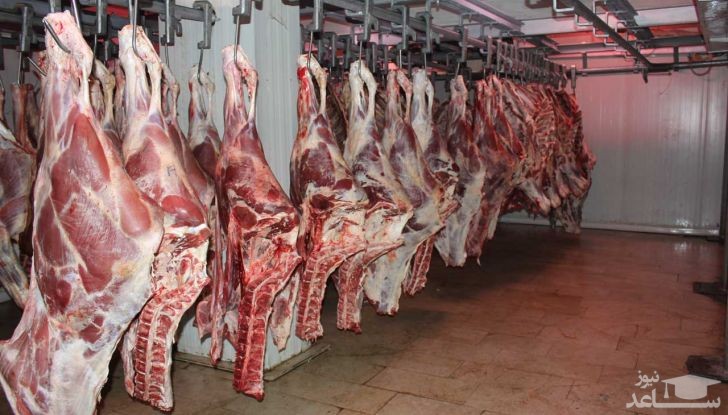 (فیلم) کشف ۳۰۰ کیلوگرم گوشت فاسد آماده برای توزیع!
