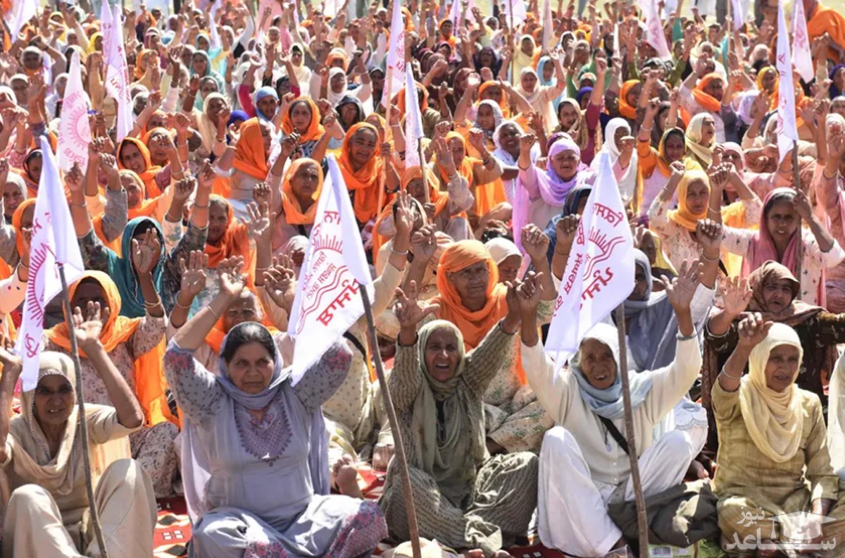 تظاهرات زنان کشاورز در "آمریتسار" هند در روز جهانی زن/ خبرگزاری فرانسه