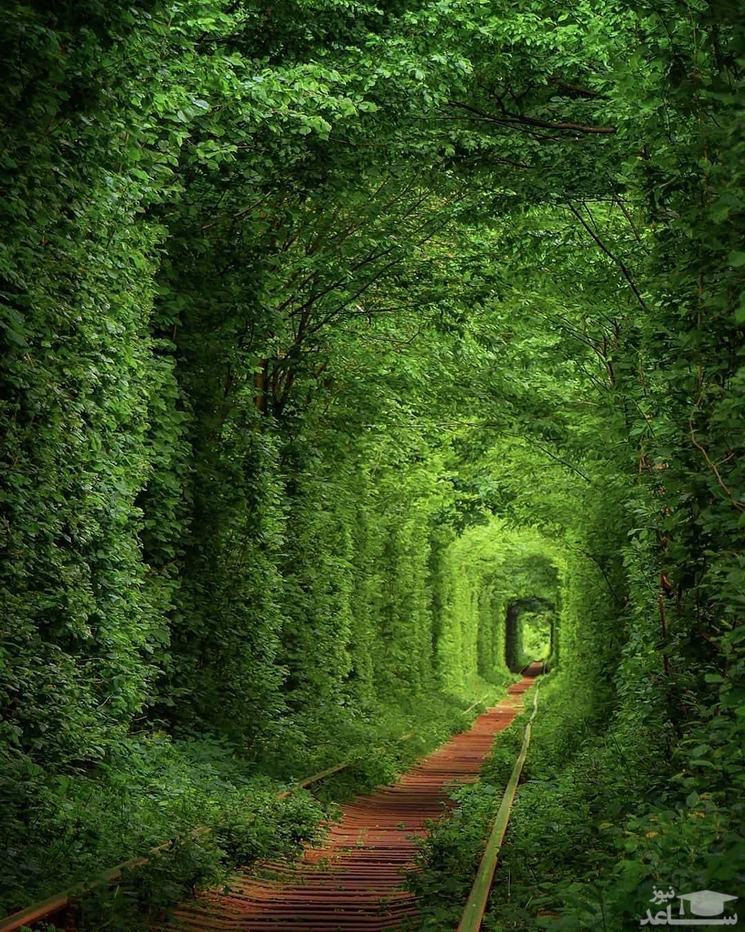 تونل عشق زیبا در اوکراین