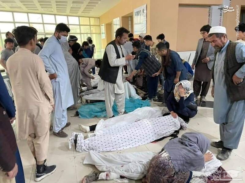زخمی که توحش می زند: رقابت دو گروه تروریستی داعش و طالبان و کشتار شیعیان بی دفاع افغانستان