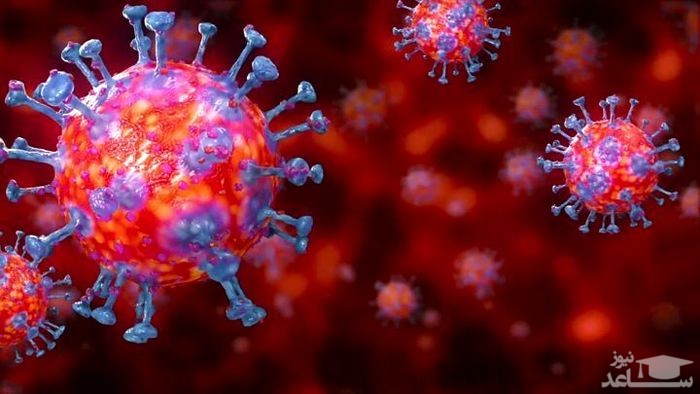 باورهایی غلط که در مورد کرونا کماکان زبان به زبان می‌چرخد!