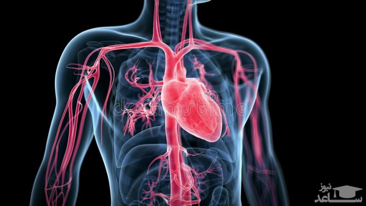 آنژیوگرافی قلب: جزئیات پروسه، خطرات و بهبود بعد آن