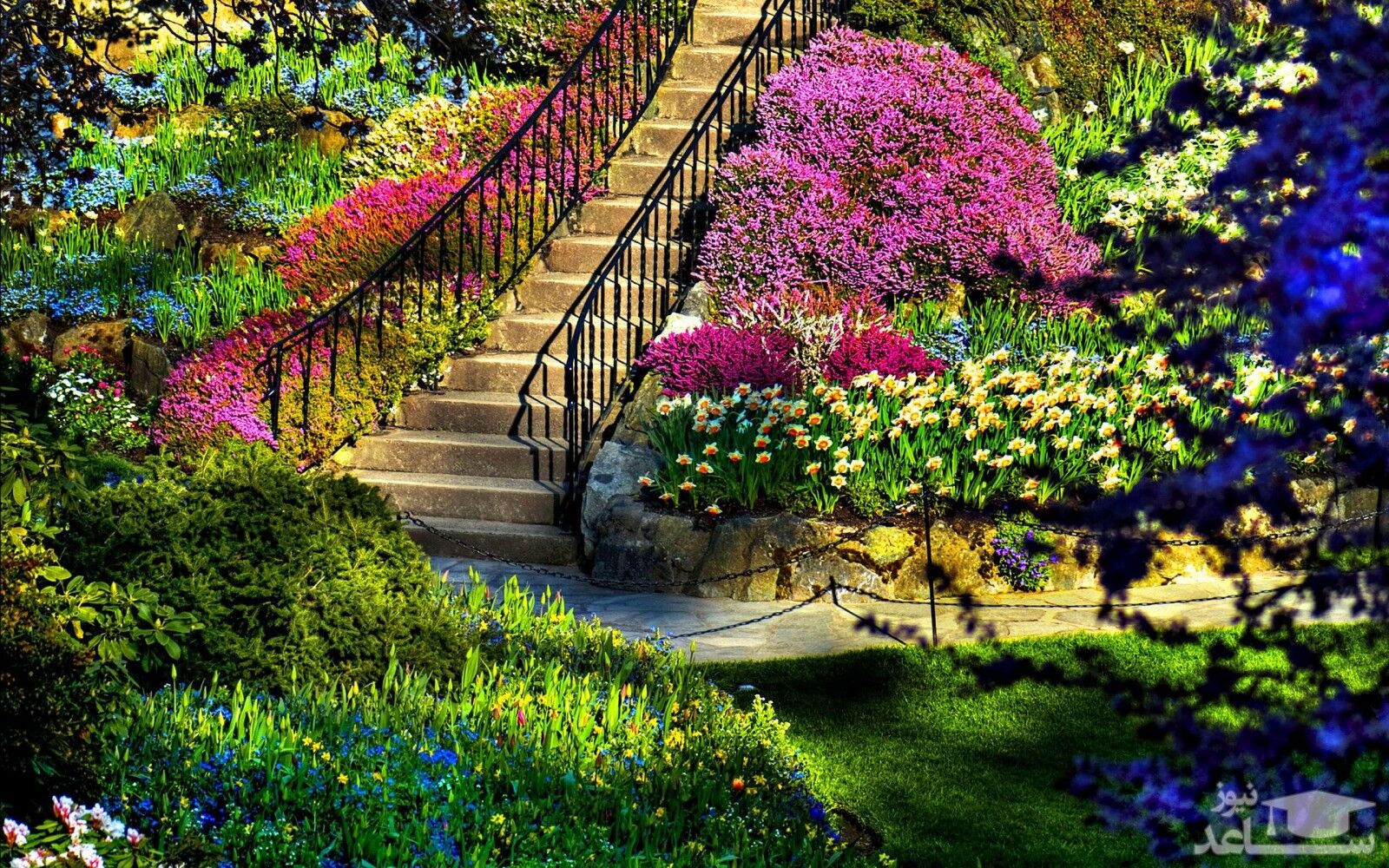 نکاتی مهم برای آماده کردن باغچه زیبا در بهار