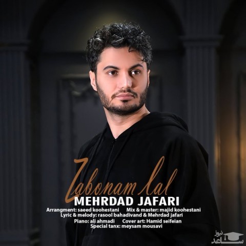 دانلود آهنگ زبونم لال از مهرداد جعفری