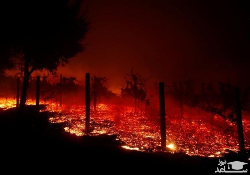 (فیلم) کالیفرنیا جهنم شد