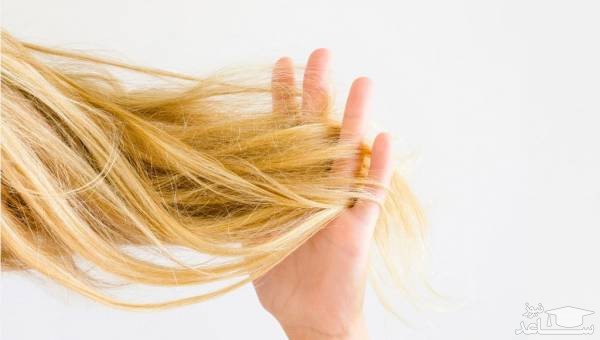 4 درمان خانگی برای ترمیم موی سوخته