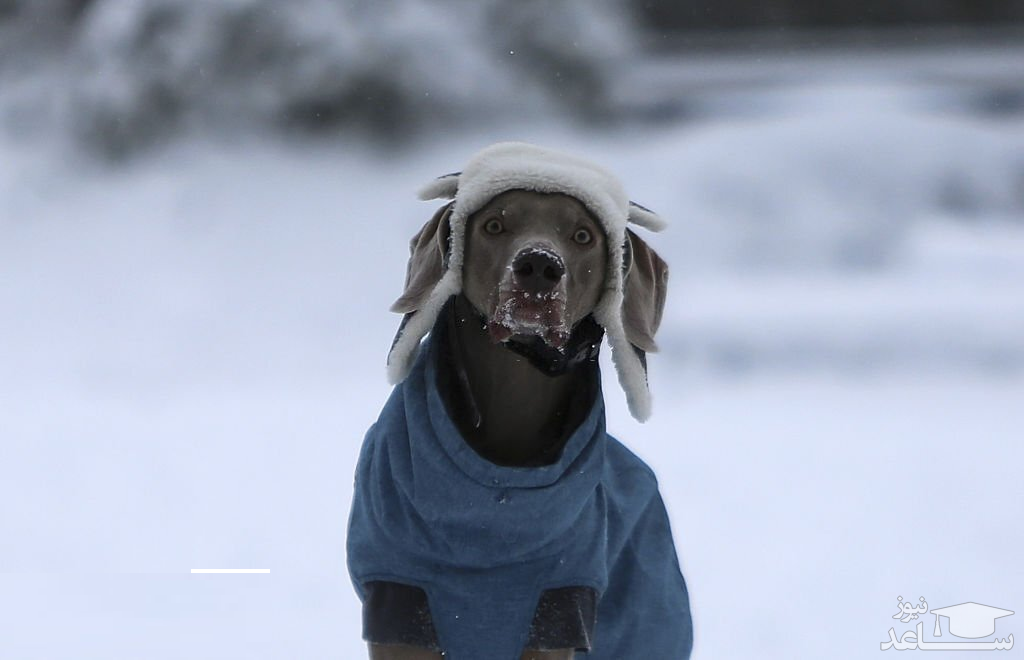 دیدنی های امروز دوشنبه 28 آذر 1401