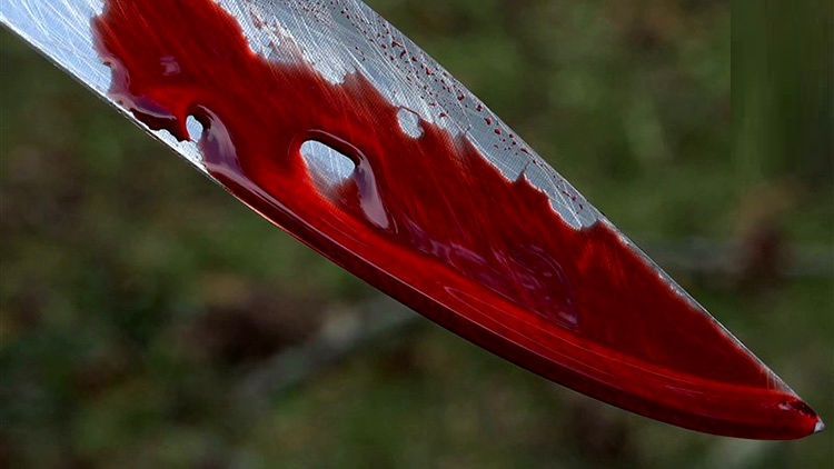 پسری که مادرش را سلاخی کرده بود بعد از جنایت دریافت او فرزندخوانده بوده است.