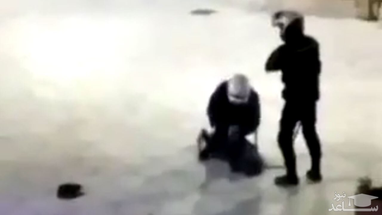 (فیلم) ضرب و شتم وحشیانه یک دختر توسط پلیس اسپانیا 
