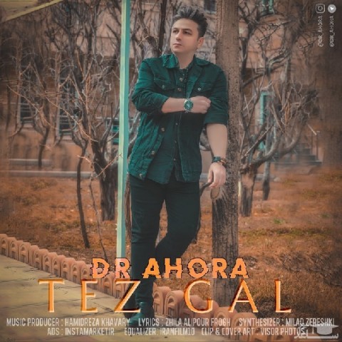 دانلود آهنگ تز گل از دکتر اهورا