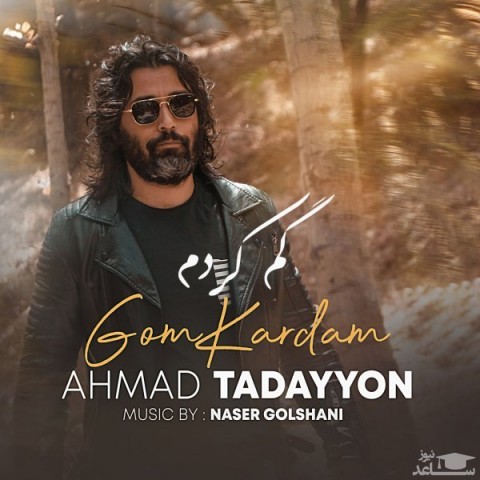 دانلود آهنگ گم کردم از احمد تدین