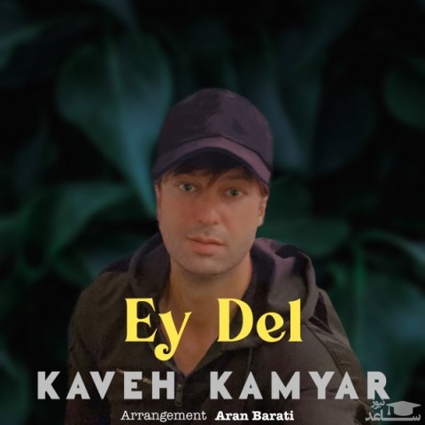 دانلود آهنگ ای دل از کاوه کامیار