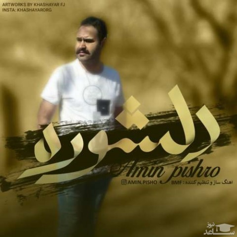 دانلود آهنگ دلشوره از امین پیشرو