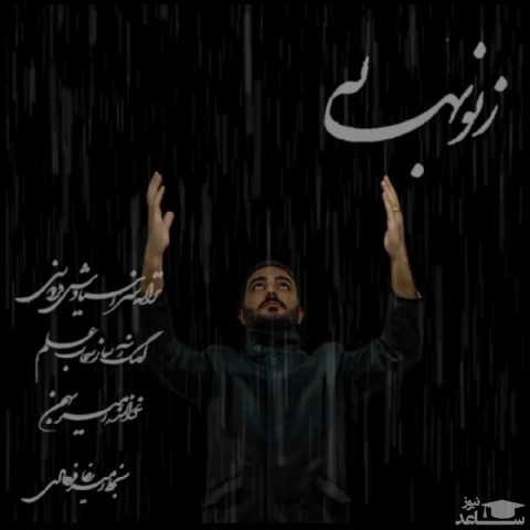 دانلود آهنگ ز نو بهار از امیر بهمن