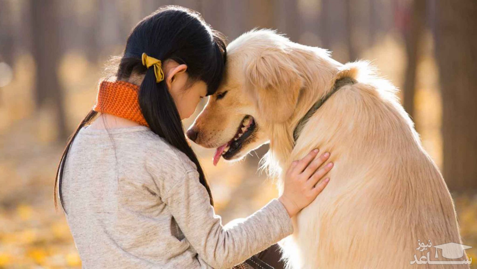 داستان‌های باورنکردنی از وفاداری سگ‌ها