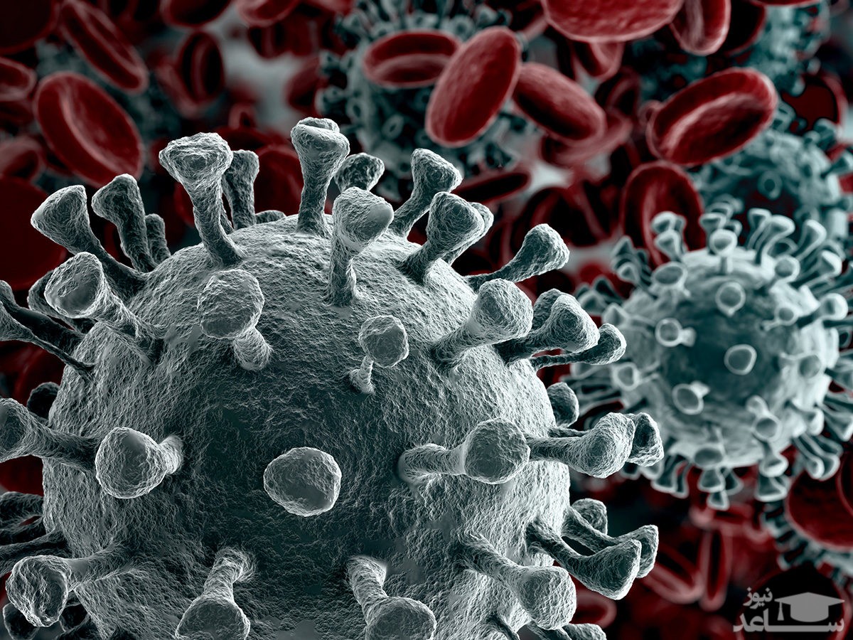 آمار کرونا در ایران و جهان (۱۳۹۹/۰۶/۲۶)