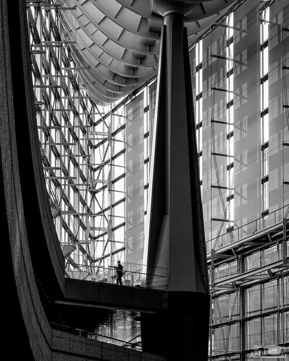 اثر برگزیده عکاسی