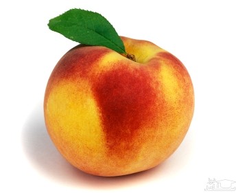 نحوه پرورش و نگهداری درخت هلو