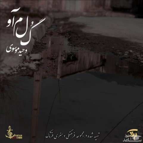 دانلود آهنگ گلمآو از وحید موسوی