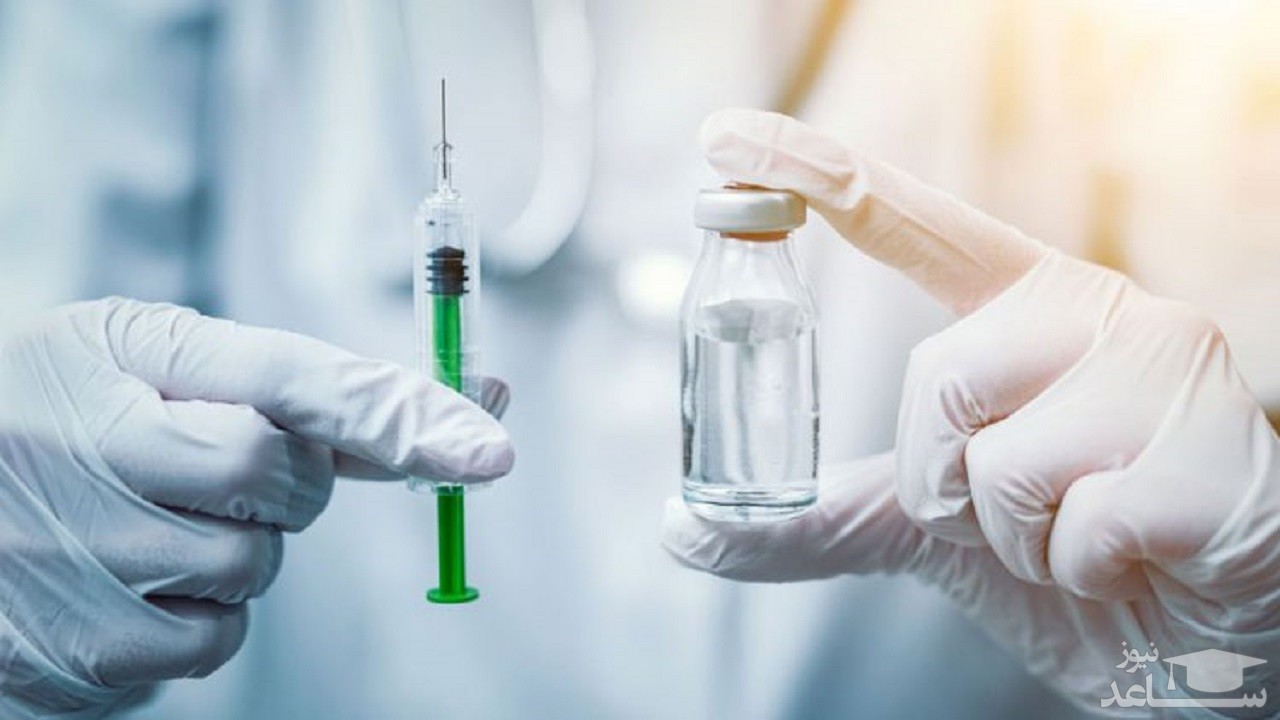 واکسن کرونا بر روی حیوانات جواب مثبت داد