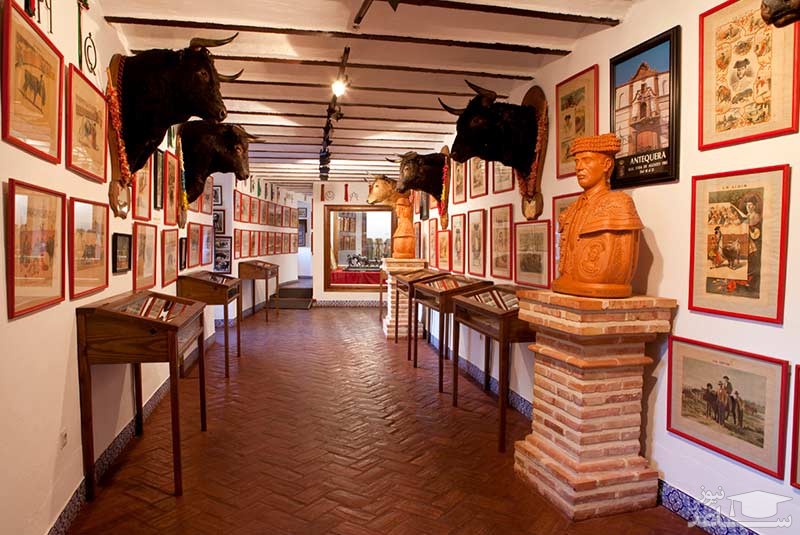 موزه گاوبازی