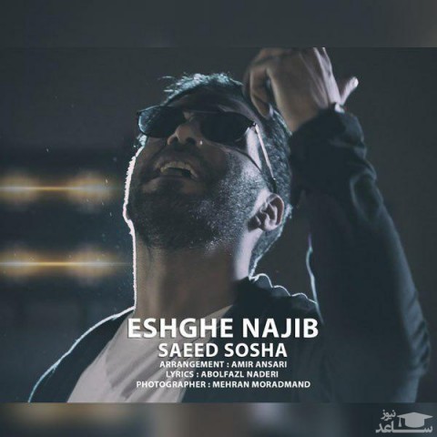 دانلود آهنگ عشق نجیب از سعید سوشا