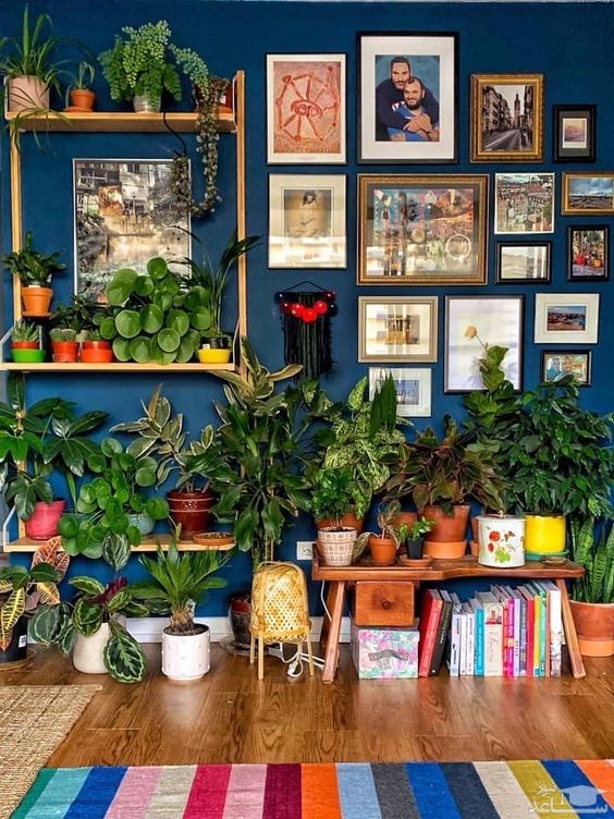 استفاده از گل و گیاه در دکوراسیون