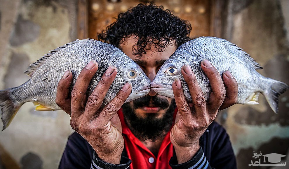 پرندگان مهاجر ، اکران مردمی «اتاق تاریک» و ...