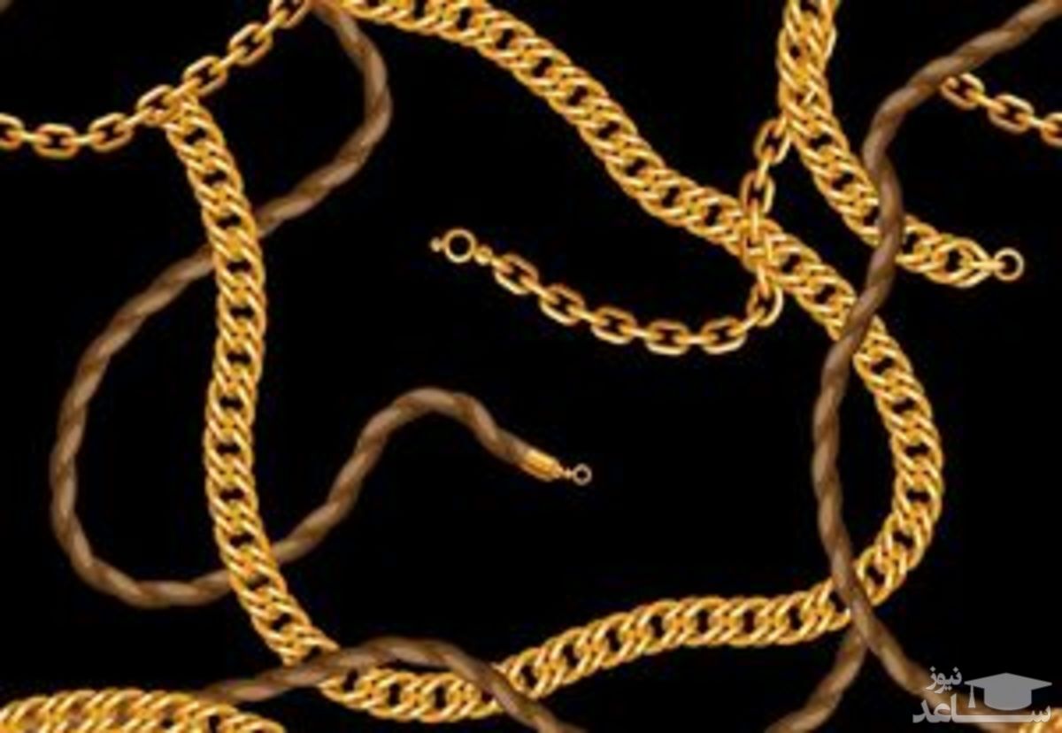 ویدیویی که همه را شگفت زده کرد، سرقت دستبند طلا توسط مورچه های سارق!
