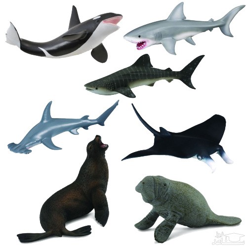 دانلود آهنگ وال 17 از افکت صوتی انسان و موجودات زنده