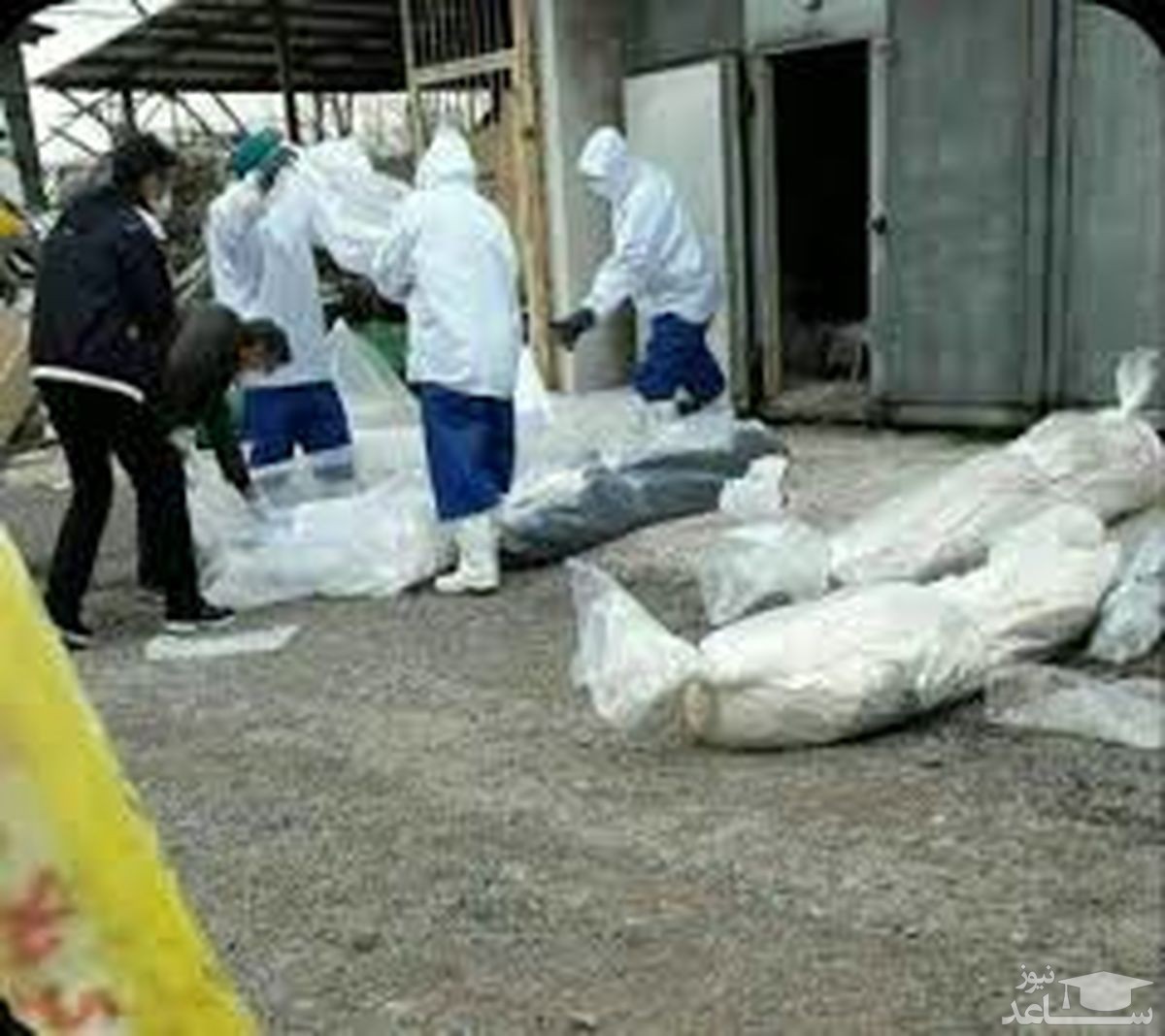 تعداد قربانیان "کرونا" در کرمانشاه به 849 نفر رسید